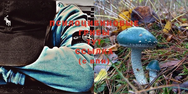 ешки Покров