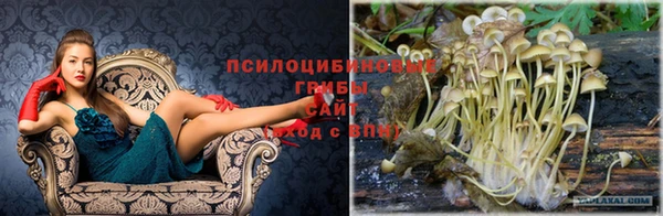 каннабис Покровск