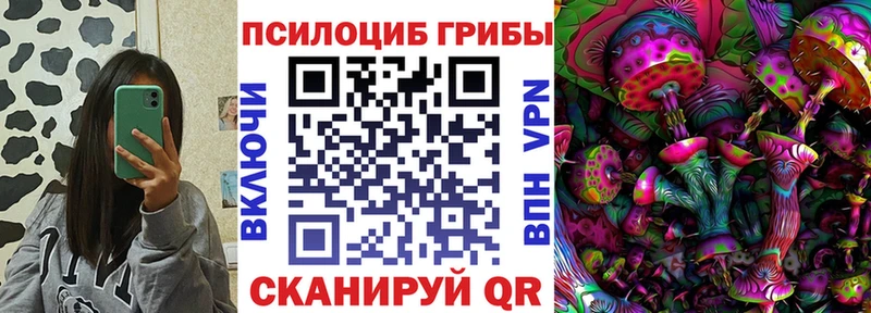 Псилоцибиновые грибы GOLDEN TEACHER Холмск