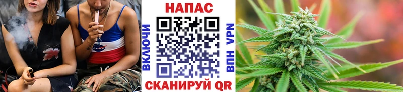 МАРИХУАНА гибрид блэк спрут как войти Холмск магазин
