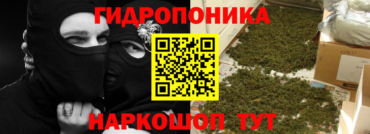 Конопля Ganja Холмск